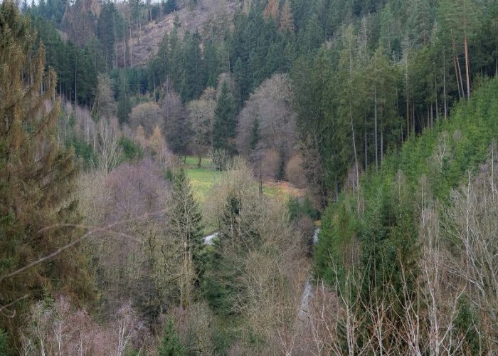 Trees visible across a wide landscape, illustrating baseline environmental features relevant to an Environmental Impact Assessment.