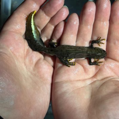 WhatsApp-Image-2025-11-19-at-14.00.14_c39fdc9f