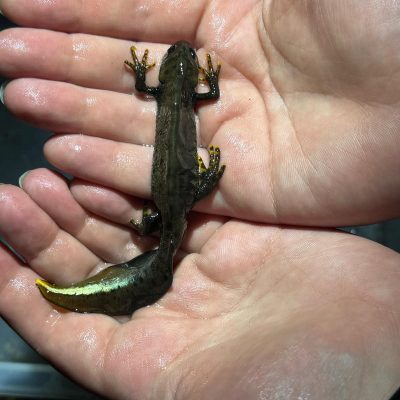 WhatsApp-Image-2025-11-19-at-14.00.14_c39fdc9f