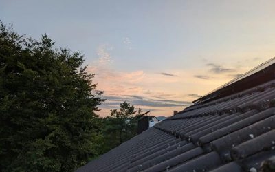Rood cladding potential for bat roost
