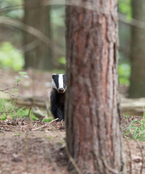 hans-veth-AY3EGM6zs1Y-unsplash