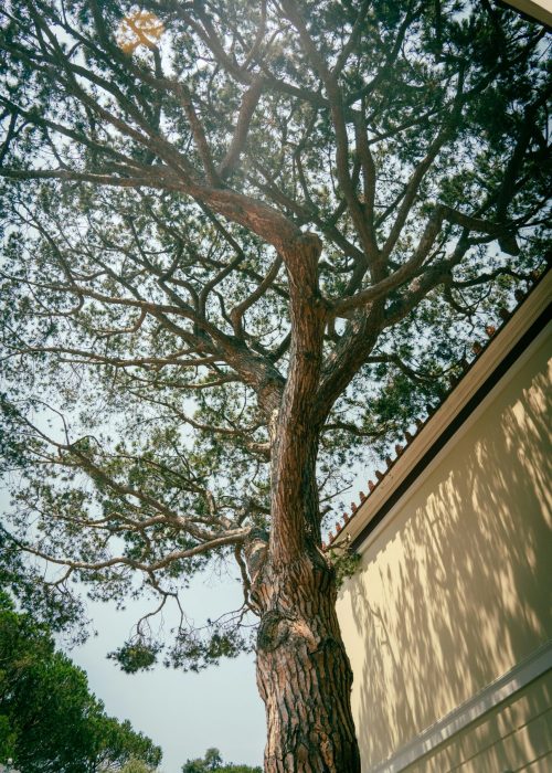 theo-braddock-sbP8GuHRFAI-unsplash